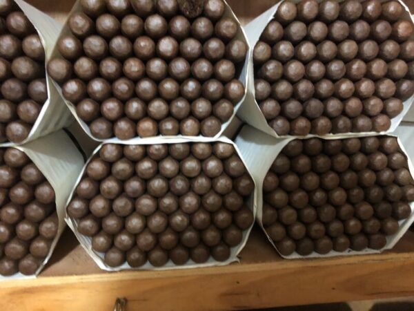 Fresh Rolled Premium Cigars - Lancero/Panetela 7x38